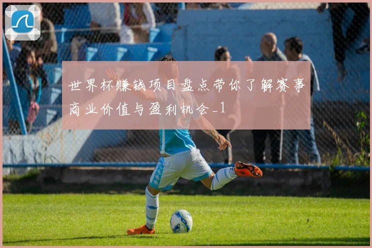 世界杯赚钱项目盘点带你了解赛事商业价值与盈利机会_1