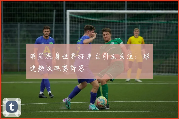 明星现身世界杯看台引发关注,球迷热议观赛阵容