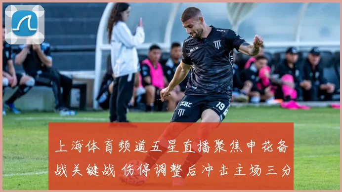 上海体育频道五星直播聚焦申花备战关键战 伤停调整后冲击主场三分