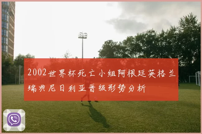 2002世界杯死亡小组阿根廷英格兰瑞典尼日利亚晋级形势分析