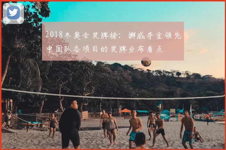 2018冬奥会奖牌榜：挪威夺金领先中国队各项目的奖牌分布看点
